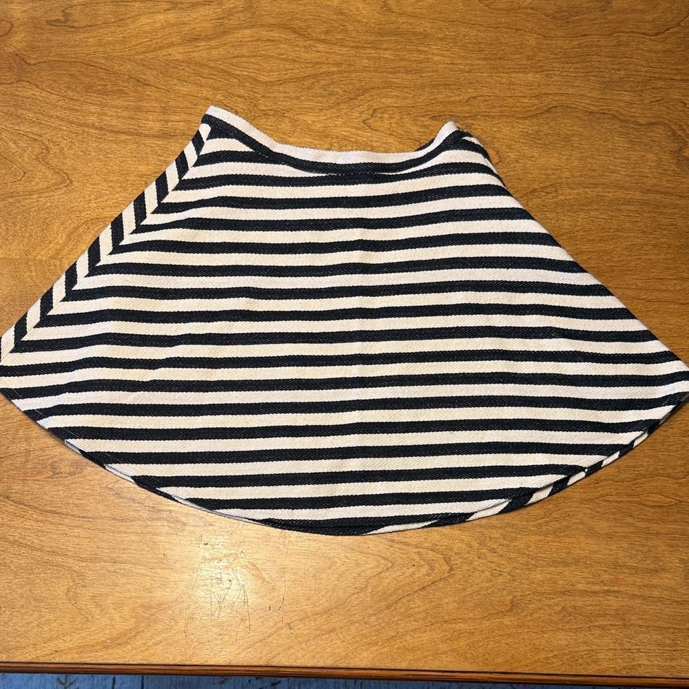 Greylin Black and White Striped A-Line Skirt